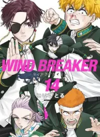 Wind Breaker