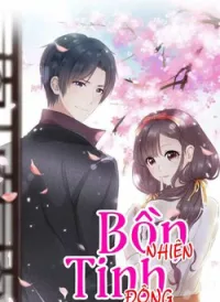Bồn Nhiên Tinh Động
