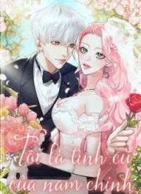Tôi Là Tình Cũ Của Nam Chính