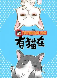 Ở Đây Có Mèo