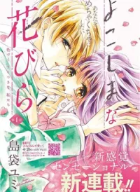 Yokoshima na Hanabira